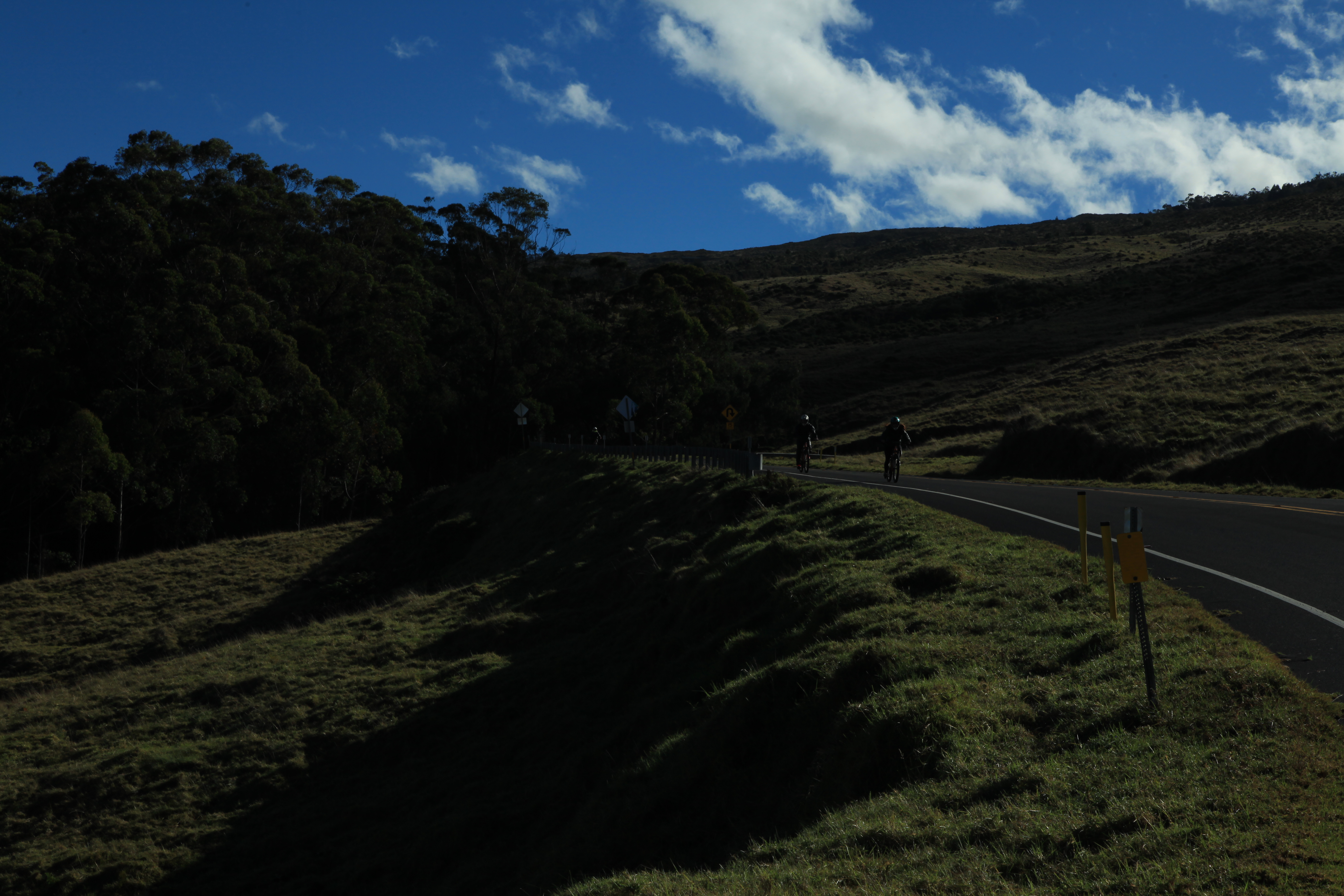 Experience a Multitude of Microclimates on the Maui Downhill Volcano Tour