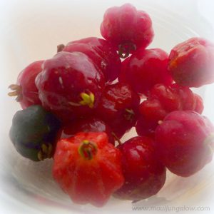 surinam cherries