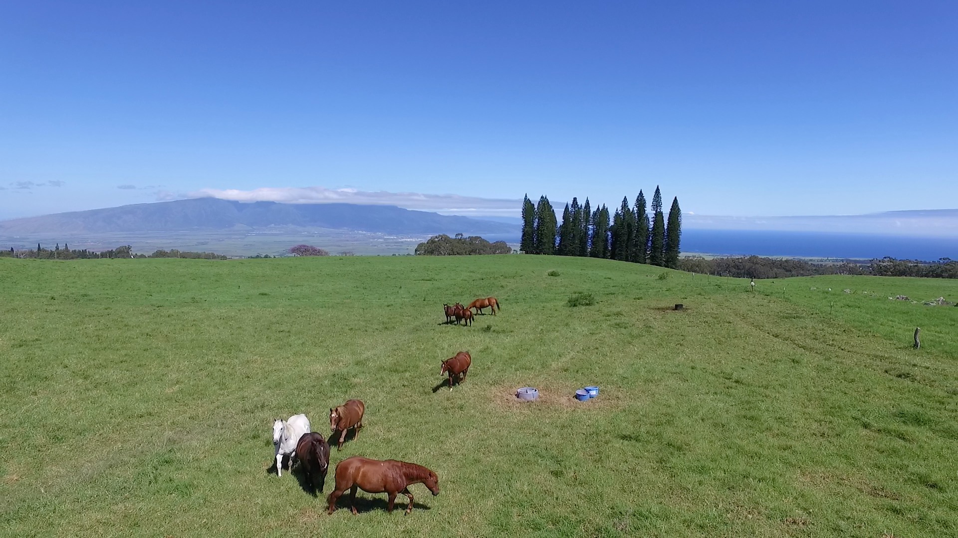 Upcountry Maui Self Guided Tour