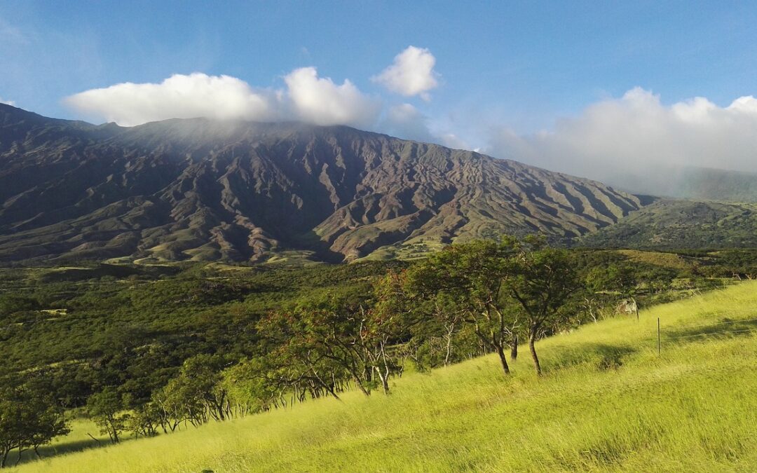 Climbing Haleakala Volcano – by Bike!
