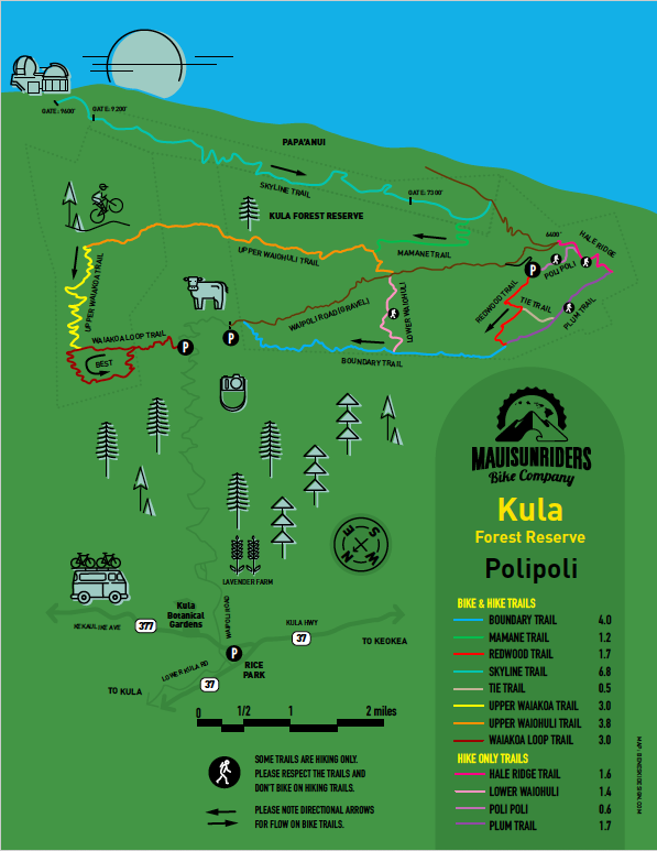Kula Forest Reserve / Poli Poli / Haleakala Skyline Trail
