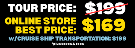 Guided downhill bike tour price