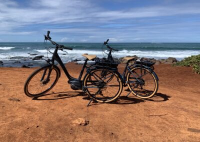 Maui North Shore Ebike Tour