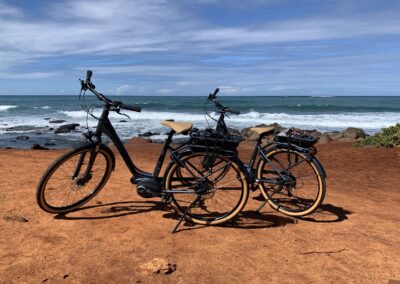 Maui North Shore Ebike Tour