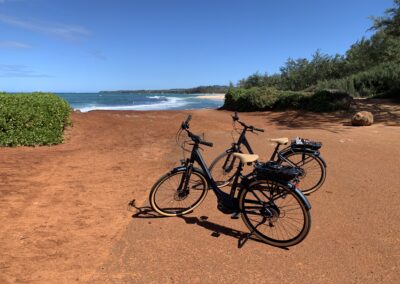 Maui North Shore Ebike Tour