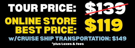 Self-Guided downhill bike tour price