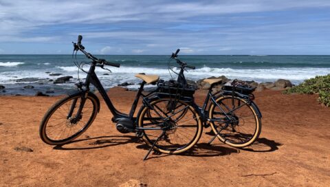 Maui Ebike Tour