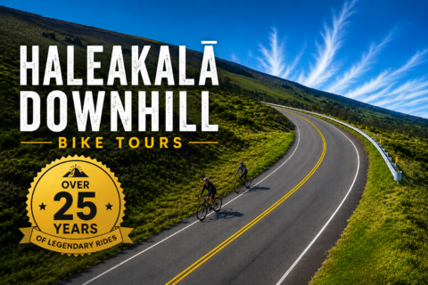 Haleakala Downhill Bike Tours 25 years with Maui Sunriders Bike Co